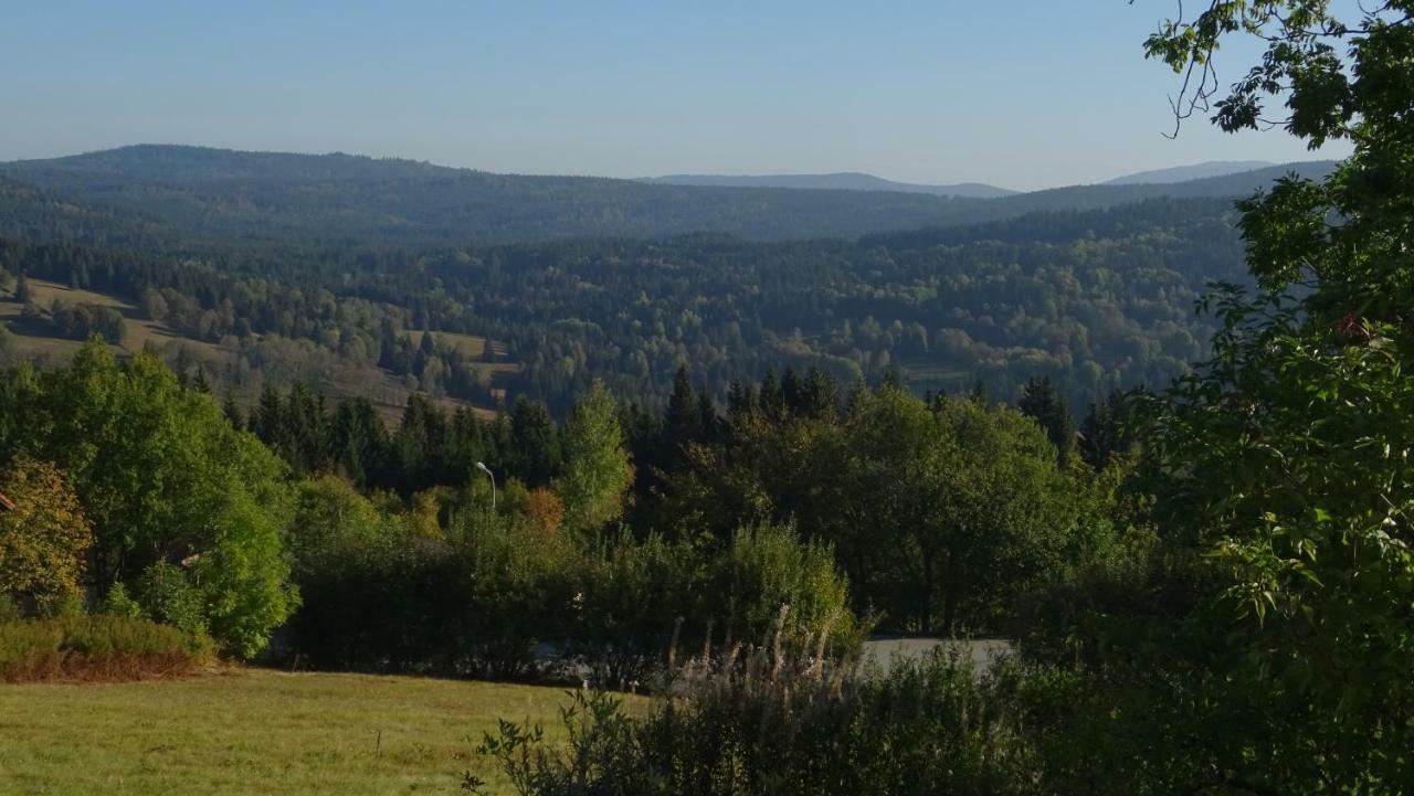Apartment Almberg Mitterfirmiansreut Kültér fotó