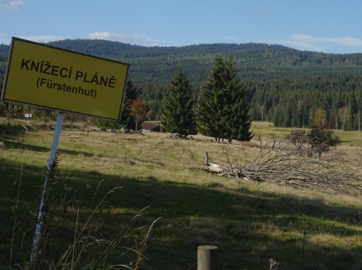 Apartment Almberg Mitterfirmiansreut Kültér fotó