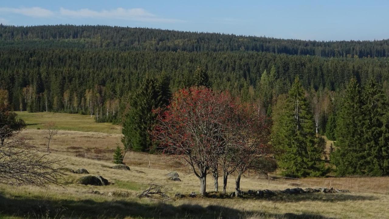 Apartment Almberg Mitterfirmiansreut Kültér fotó