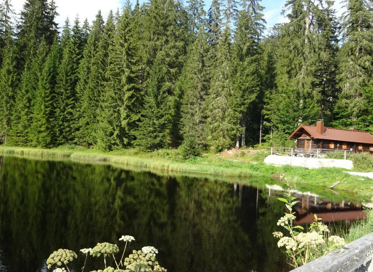 Apartment Almberg Mitterfirmiansreut Kültér fotó